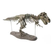 Tyrannosaurus model โมเดล T-rex โมเดลทีเร็ก ของตกแต่ง แต่งร้าน แต่งบ้าน B4H2