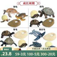 【STCOK】 Simulated Turtle Model Generation Periodic Table Childrens Early Education Popular Science Awareness Elephant Tortoise Toy Gift