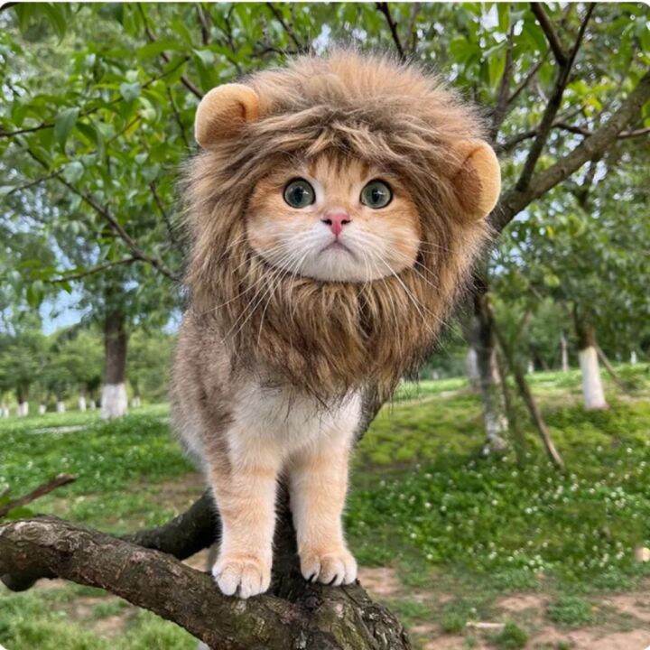 FUYEKN Soft Lion Mane Wig Cap Hat Breathable Acrylic Fibers Pet Lion Hat Dog Halloween Lion Cap