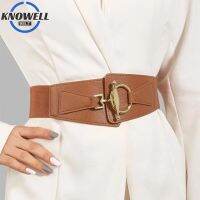 【cw】 Brown Pu Leather CorsetsWomenLuxury Designer BeltsClothes Buckle Pin WideForWaistbandWinter