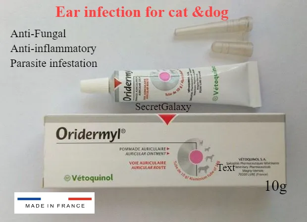 can you give a dog penicillin for an ear infection