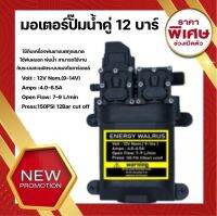 ปั้มคู่ มอเตอร์ปั้มเครื่องพ่นยา ขนาด 12 บาร์ 12 โวล ENERGY WALRUS