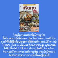 หนังสือเกษตร นวัตกรรมใหม่ และแบบอย่างการเพาะเลี้ยงเห็ดถุงทำเงิน : การเพาะเห็ดถุงชนิดต่างๆ การสร้างโรงเรือนเพาะเห็ด