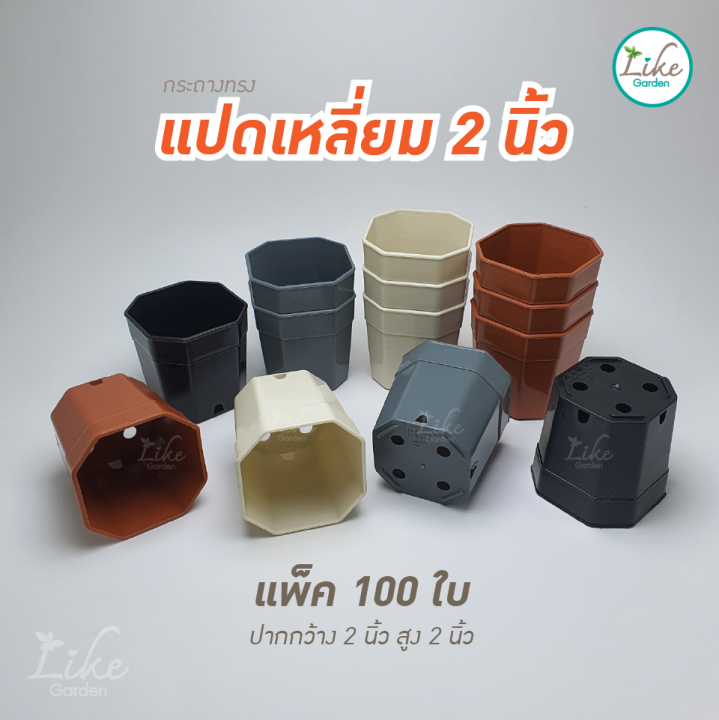 กระถางทรงแปดเหลี่ยม-ขนาด-2-นิ้ว-แพ็ค-100-ใบ-กระถางพลาสติก-กระถางปลูกต้นไม้-กระถางปลูกแคคตัส-กระถางราคาถูก