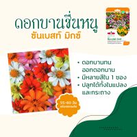 เมล็ดดอกบานชื่นหนู ซันเบสท์ มิกซ์ ตราศรแดง ปริมาณ30เมล็ด เมล็ดดอกไม้ เมล็ดพันธุ์ดอกไม้ ดอกบานชื่นหนู เมล็ดพันธ์ุดอกบานชื่นหนู ศรแดง