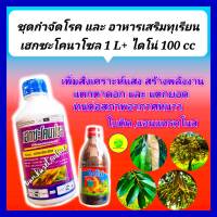 ชุด กำจัดโรค และ อาหารเสริมทุเรียน เฮกซะโคนาโซล 1 L +ไดโน่ อาหารเสริมพืช 100 cc  ใบติด สังเคราะห์แสง ใบเขียว แตกยอด แตกดอก ขั้วเหนียว ขยายผล