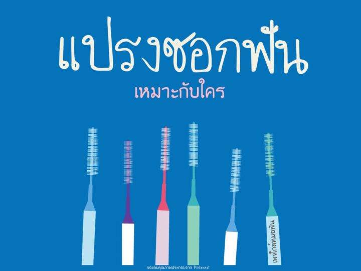 x2-แผง-แปรงซอกฟัน-ขนแปรงไนลอนอย่างดีชนิดดูปองท์นำเข้าจากอเมริกา