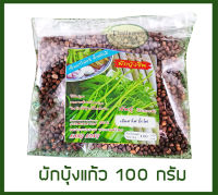 100 กรัม เมล็ดพันธุ์ผักบุ้งแก้ว ผักบุ้งเย็นตาโฟ ปลูกในโอ่งได้ ปลูกง่ายโตไว ก้านใหญ่ ใบน้อย