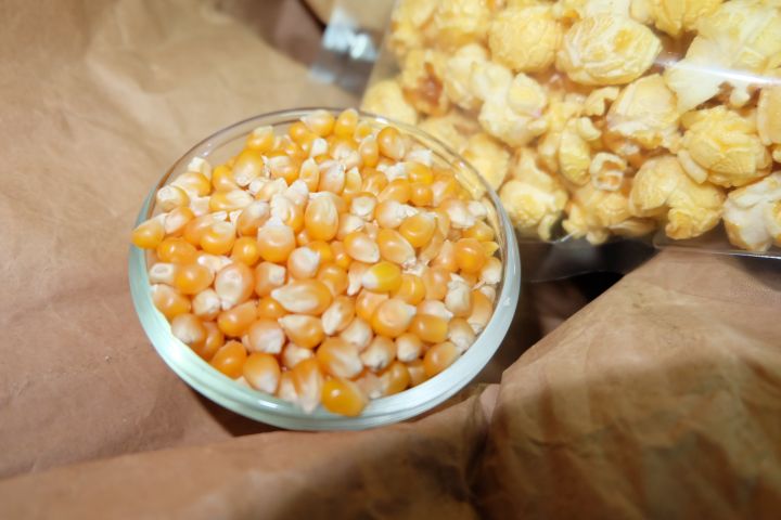 เมล็ดข้าวโพดpopcorn-เมล็ดป๊อปคอร์น-ข้าวโพดป๊อปคอน-ข้าวโพดทำป๊อปคอร์น-mushroompopcorn-ข้าวโพดมัชรูม-ป๊อบคอร์นมัชรูม-เมล็ดข้าวโพดมัชรูม-ขนาด2-000g