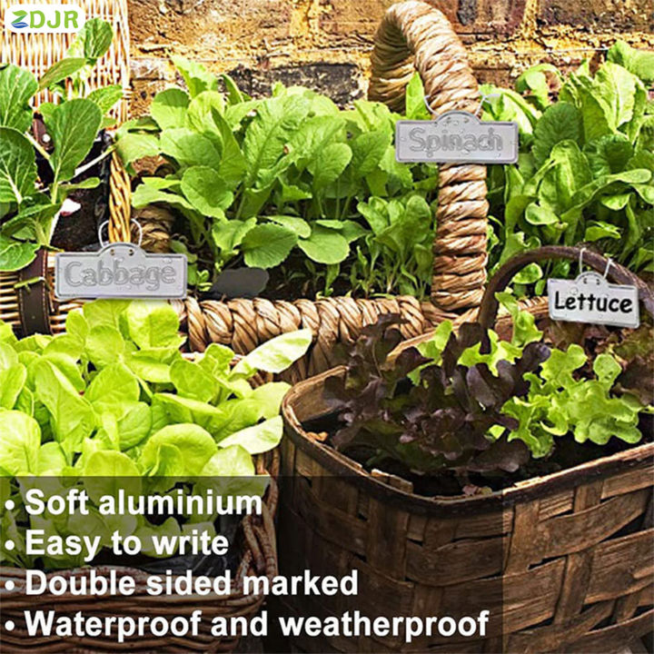 zdjr-garden-ป้ายพลาสติกบอกชื่อต้นไม้กันน้ำ-s-ป้ายพลาสติกบอกชื่อต้นไม้ทำเครื่องหมายสองด้านสำหรับบันทึกสภาพพืช