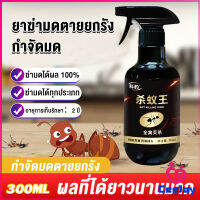 CeeJay สเปย์กำจัดมด ยากำจัดมดภายในบ้าน กำจัดแมลง  Pest Control