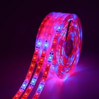 5M 5050SMD waterproof LED Strip light Full Spectrum Flexible LED grow lamp tape Indoor Phyto lamp for Greenhouse plant Growth