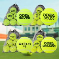 Training Tennis Balls ODEA 6Pcs with Bag Beginner Advanced Professtional Practice Competiton Tennis Ball for Dog Pet