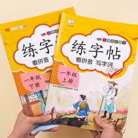 dfh❂☁✚  Book School Students Language Textbooks 1-6 Grades Synchronous Copybook Training for Chinese PinYin Hanzi Beginners
