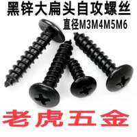 M3.M4.M5.M6Black Black Zinc Large Flat Head Iron Self-Tapping Screw Black Mushroom-Shaped Haircut Self-Threading Pin Self Tapping Screws