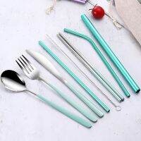 Pandeat ( 9in1 ) 304 Stainless Steel Chopsticks Spoon and Fork Set Reusable Metal Straws Flatware with pouch