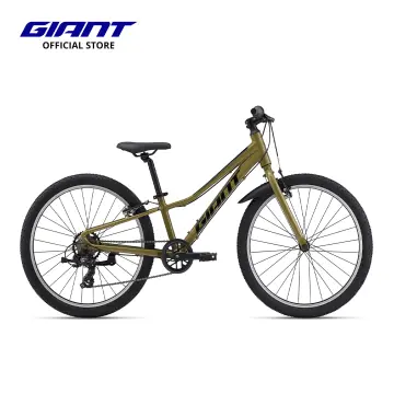 boys giant bike