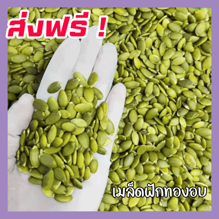 ส่งฟรี-ซื้อ-1-ฟรี-1-เมล็ดฟักทอง-พร้อมทาน-เกรด-aaa-roated-pumpkin-seeds-เม็ดฟักทอง-ขนาด-100กรัม-ฟรี-100กรัม-ฟักทองอบ-เมล็ดฟักทองอบ-ถั่วธัญพืชรวม-ขนมกินเล่นถูกๆ-ขนมกินเล่น-อาหารพร้อมทาน-ธัญพืชรวม-ธัญพืช