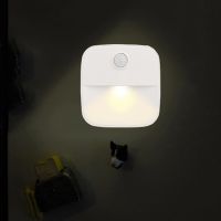 Night Light With EU /US Plug Smart Motion Sensor LED Night Lamp wall lights for home Aisle WC Bedside Lamp For Hallway Pathway