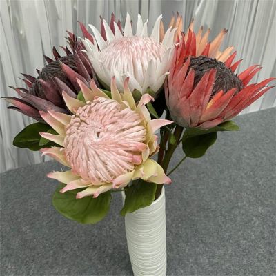 【CC】 Silk Big Protea Cynaroides Artificial Epiphyllum Pitaya Branch for Wedding Floral Decoration
