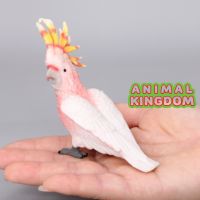 Animal Kingdom - โมเดล Cockatoo นก กระตั้ว ขนาด 11.00 CM (จากสงขลา)