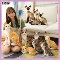 CXXP ของตกแต่งบ้าน เด็ก แมวสยามสีส้มแมว ตุ๊กตาจำลอง ของเล่นตุ๊กตา หมอน ของเล่นแมวจำลอง