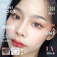 คอนแทคเลนส์ Mini Nora Brown / Gray (Montra) ขนาดมินิ ? ขนาดเลนส์ 14.0 ตาลูกแก้วแนว Forum