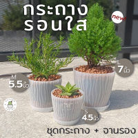 กระถางรอนใส ขุ่น ชุดกระถาง พร้อมถาดรอง เกรดพรีเมี่ยม หนา ดีไซส์สวย 4.5 - 7 นิ้ว