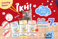 Cats Taste อาหารแมว แคทสเทส สูตรสำหรับแมวสูงวัย 7+ ขนาด 70g x 12 ซอง