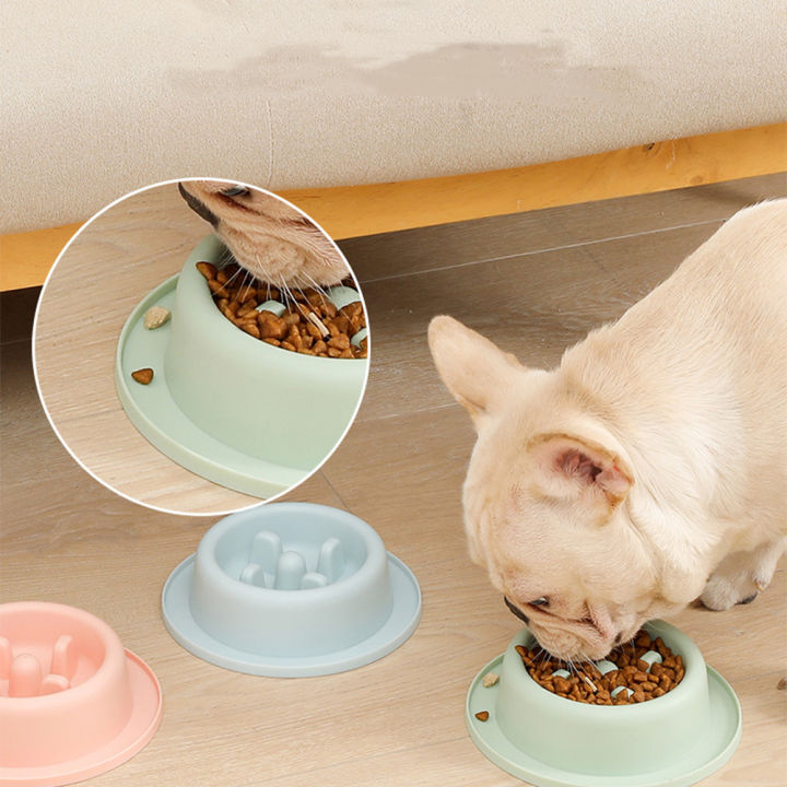 slow-eating-dog-bowl-dog-feeding-accessories-anti-choking-dog-bowl-slow-feed-dog-bowl-small-dog-feeder