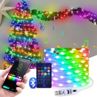 5M/10M/20M USB LED Copper Wire String Lights USB Dream Color Fairy Lights Bluetooth Colorful Home Christmas Tree Wedding Decor