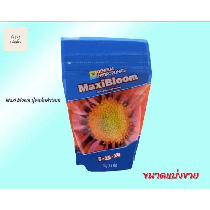 ready-stock-สินค้าพร้อมจัดส่ง-maxi-bloom-5-15-14-ghe-ปุ๋ยหลักทำดอก-มีบริการเก็บเงินปลายทาง