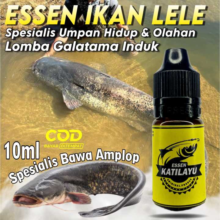 Essen Super Galatama Ikan Lele Paling Ampuh Essen Oplosan Ikan Lele