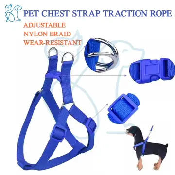 Shop Dog Jersey And Leash with great discounts and prices online - Sep 2023