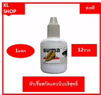 SUMA Tannin หัวเชื้อสกัดแทนนินบริสุทธิ์ จากใบหูกวางแห้งทำให้หนังเกล็ดของปลากัดสีเข้ม แข็งแรง ก่อหวดได้ดี 1 เเพค จำนวน 12 ขวด ขนาด12 ml ส่งฟรี