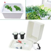 【☊HOT☊】 guan28558181417047 ระบบ Hydroponic กระถางปลูกต้นไม้2รูชุด Grow Box Cabinet สวนมีฟอง220V กระถางปลูกต้นไม้สำหรับสถานรับเลี้ยงเด็ก