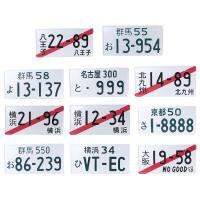 【HOT】 License Plates for Aluminum Men 33x16.5cm anime