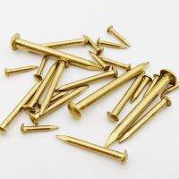 10/100pcs Golden Dia 1.2 1.5 2 2.8mm Pure Copper Small Mini Round Head Nail for Furniture Hinge Drum Jewelry Box Length 8–50mm