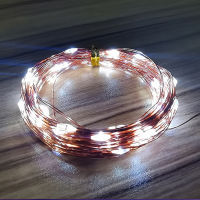 LED String Lights 1M 2M 3M 5M 10M 20M USB Copper Wire Garland Fairy Lights for Christmas Decoration Wram WhiteWhite Four Colors