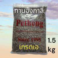 [1 ถุง]SunFlower Seed ทานตะวันฮังการี่ เม็ดจิ๋ว เหมาะกับ นกเลิพเบิร์ด, ค็อกคาเทล, พรารากีต  ขนาดบรรจุ 1 กก.