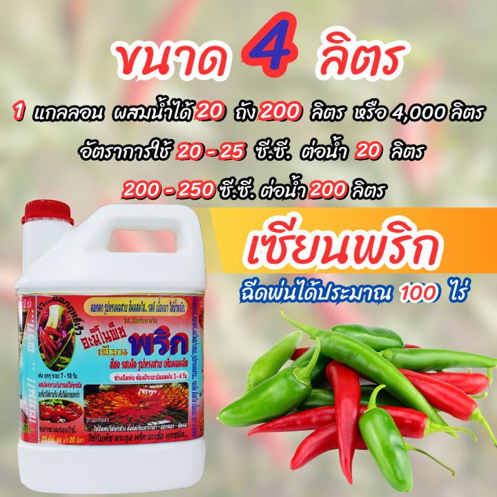 พร้อมส่ง-เซียนพริก-4-ลิตร-สูตรพริกดก-ซื้อ-1แถม2-อาหารพืช-ปุ๋ย-ปุ๋ยฉีดพริก-ปุ๋ยฉีดมะเขือ-ยาฉีดพริก-ฮอร์โมนพริก