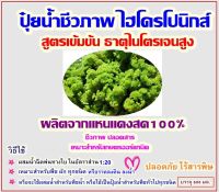 ปุ๋ยน้ำสำหรับพืชไฮโดรโปนิคส์ ผลิตจากแหนแดงสด100%