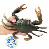 Munich Play - โมเดล Flower Crab ปูม้า ก้ามครีม ขนาด 16.50 CM (จากหาดใหญ่)