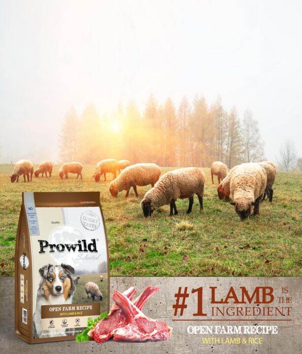 prowild-รสเนื้อแกะ-สูตรโปรตีนสูง-โปรไวลด์-อาหารสุนัขทุกสายพันธุ์-ทุกช่วงวัย-แพ้ง่ายต้องลอง-ขนาด-15-kg-ถุงย่อย-5-kg-x-3ถุง