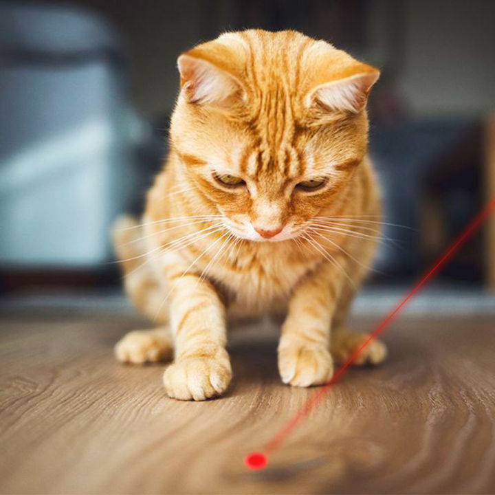 แซวแมวปากกาไฟฉายของเล่นเลเซอร์ไฟปากกา-led-usb-ชาร์จ3โหมด-creative-สไตล์