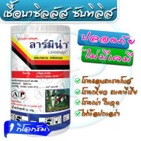 ลาร์มิน่า เชื้อแบคทีเรีย บาซิลลัส ซับทีลีส ขนาด 1000g (Bacillus subtilis) เข้มข้น 1x109 cfu/gm 1 กิโลกรัม