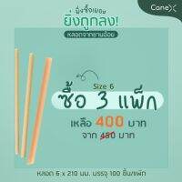 โปรแรง!! CaneX - หลอดจากชานอ้อย 6x210mm ตัดตรง (มีซองกระดาษ) ซื้อ 3 Pack  จำนวน 300 ชิ้น