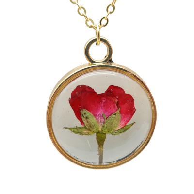 Red Rose Real Flower Transparent Floating Locket Gold Color Pendant Chain Long Necklace Women Boho Fashion Jewelry Love Romantic