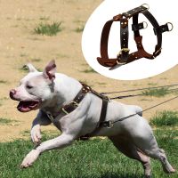 Leather Dog Harness Heavy Duty Pet Dogs Working Training Vest Large Dogs