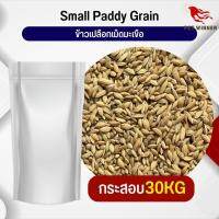 ข้าวเปลือกมะเขือ Small Paddy Grian เหมาะสำหรับนก กระต่าย หนู กระต่าย กระรอก ชูก้า และสัตว์ฟันแทะ (กระสอบ 30KG)